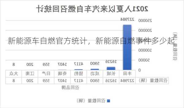 新能源车自燃官方统计，新能源自燃事件多少起