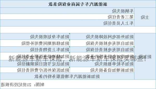 新能源车新车保险，新能源车新车保险买哪些！