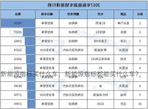 新能源指标买什么车，新能源指标都能买什么车？