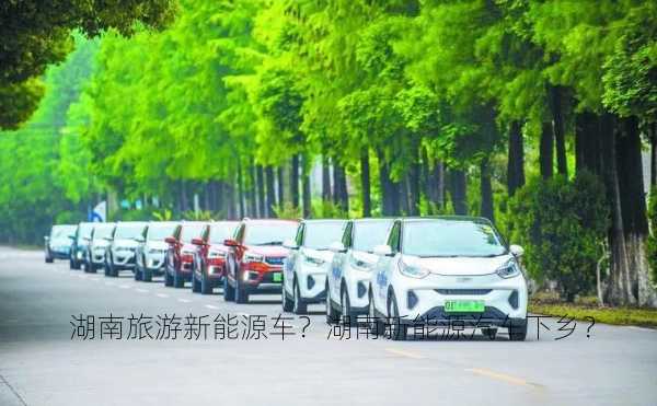 湖南旅游新能源车？湖南新能源汽车下乡？