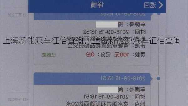 上海新能源车征信查询，上海新能源汽车征信查询