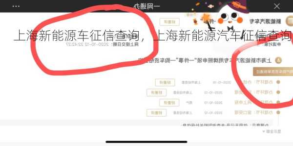 上海新能源车征信查询，上海新能源汽车征信查询