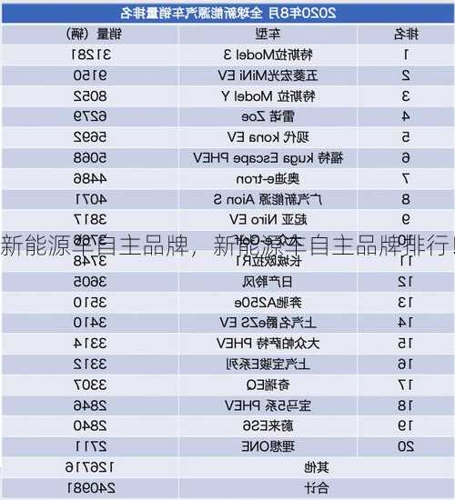 新能源车自主品牌，新能源车自主品牌排行！