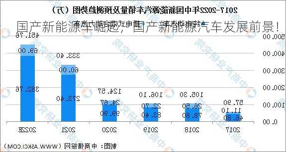 国产新能源车崛起，国产新能源汽车发展前景！