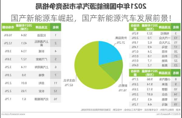 国产新能源车崛起，国产新能源汽车发展前景！