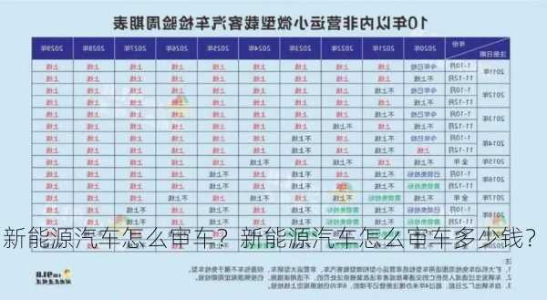 新能源汽车怎么审车？新能源汽车怎么审车多少钱？