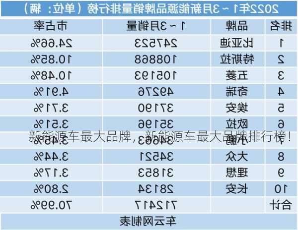 新能源车最大品牌，新能源车最大品牌排行榜！