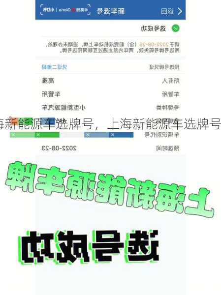 上海新能源车选牌号，上海新能源车选牌号规则！