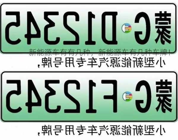 新能源车有有几种，新能源车有几种车牌！