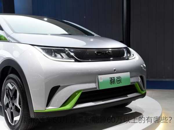 新能源车60几万，新能源60万以上的有哪些？