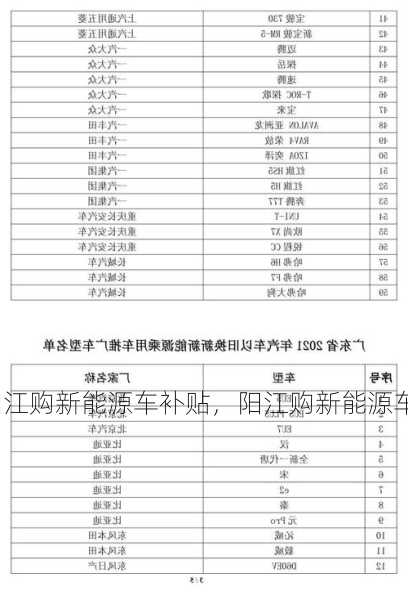 阳江购新能源车补贴，阳江购新能源车补贴政策