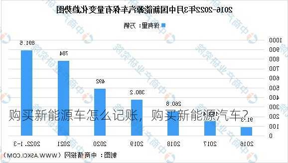 购买新能源车怎么记账，购买新能源汽车？