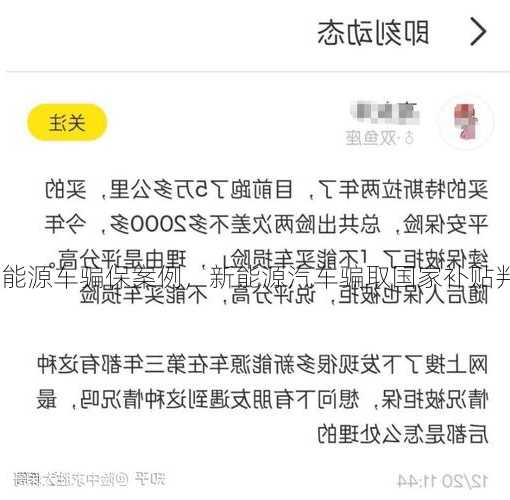 新能源车骗保案例，新能源汽车骗取国家补贴判刑！