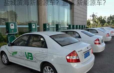 盐城滨海新能源车？盐城 新能源车？