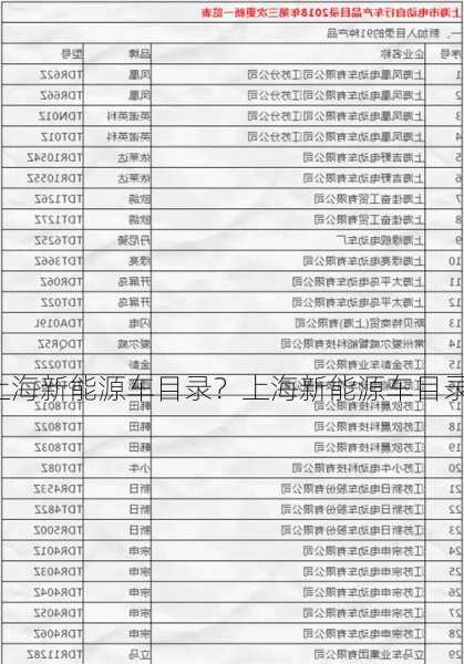 上海新能源车目录？上海新能源车目录2023最新？