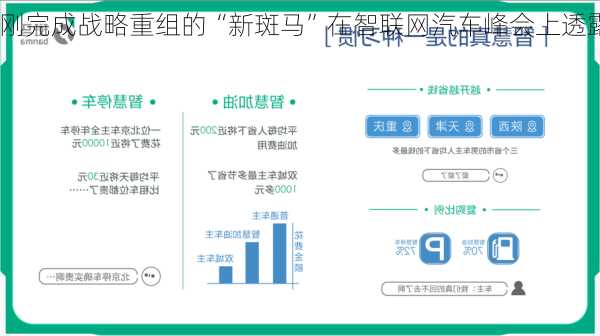 新能源车斑马，刚刚完成战略重组的“新斑马”在智联网汽车峰会上透露