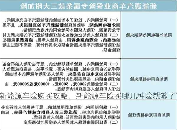 新能源车险购买攻略，新能源车险买哪几种险就够了？