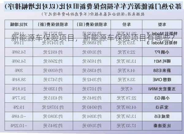 新能源车保险项目，新能源车保险项目有哪些？