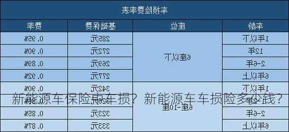 新能源车保险中车损？新能源车车损险多少钱？