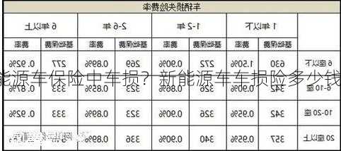 新能源车保险中车损？新能源车车损险多少钱？