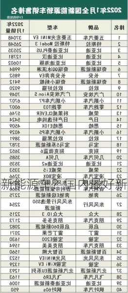 国内最好新能源车？国内最好新能源车排行榜？