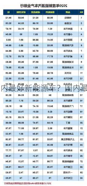 国内最好新能源车？国内最好新能源车排行榜？