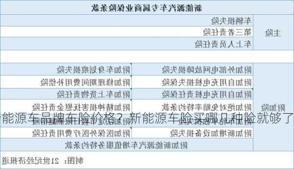 新能源车品牌车险价格？新能源车险买哪几种险就够了？