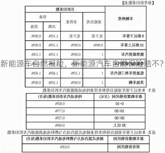 新能源车自燃报险，新能源汽车自燃保险赔不？