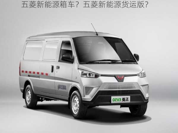 五菱新能源箱车？五菱新能源货运版？