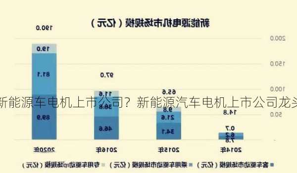 新能源车电机上市公司？新能源汽车电机上市公司龙头？