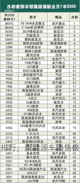 国内新能源车销售排行，新能源车销售榜！