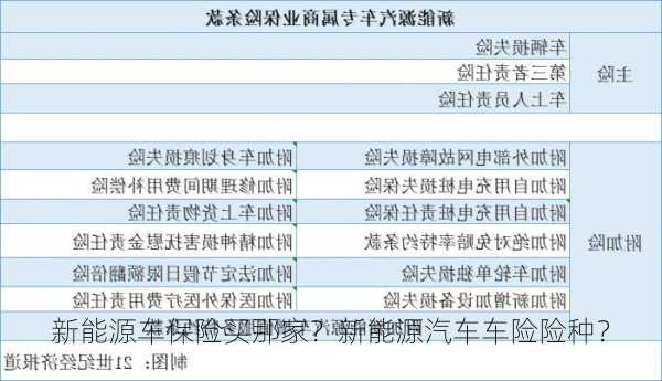 新能源车保险买那家？新能源汽车车险险种？