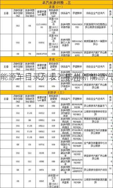 杭州新能源车目录列表？杭州新能源汽车政策2021？