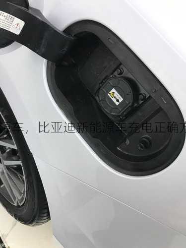 比亚迪新能源车，比亚迪新能源车充电正确方法