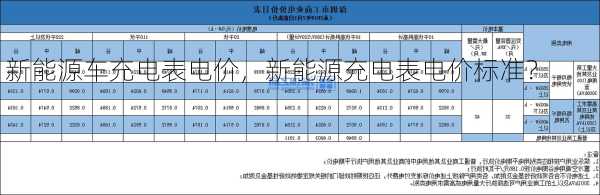 新能源车充电表电价，新能源充电表电价标准？