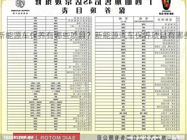 新能源车保养有哪些项目？新能源汽车保养项目有哪些？