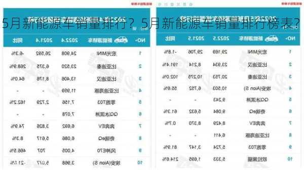 5月新能源车销量排行？5月新能源车销量排行榜表？