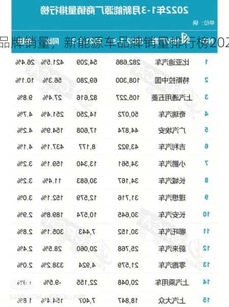 新能源车品牌销量，新能源车品牌销量排行榜2020！