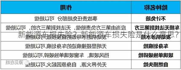 新能源车损失险？新能源车损失险是什么意思？