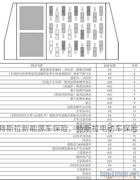 特斯拉新能源车保险，特斯拉电动车保险？