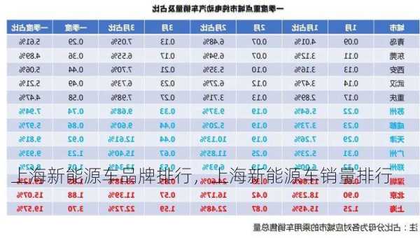 上海新能源车品牌排行，上海新能源车销量排行