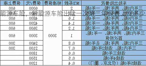 新能源车险，新能源车险出险一次第二年保费上涨多少？