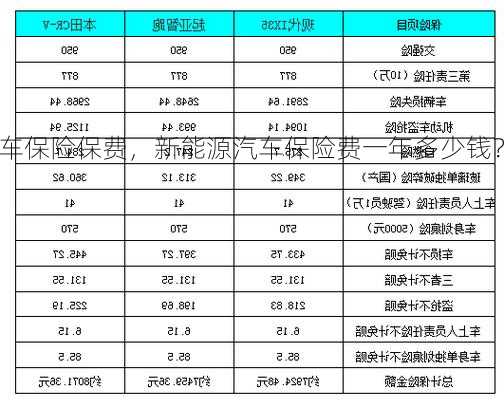 新能源车保险保费，新能源汽车保险费一年多少钱？