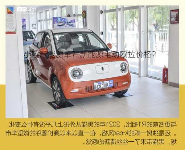 小欧新能源车？新能源电动欧拉价格？