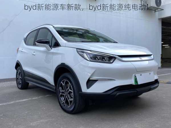 byd新能源车新款，byd新能源纯电动！