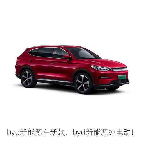 byd新能源车新款，byd新能源纯电动！