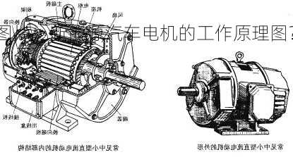 新能源车电机图片，新能源汽车电机的工作原理图？