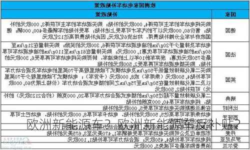 欧洲新能源车？欧洲新能源车反补贴？