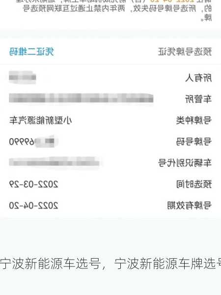宁波新能源车选号，宁波新能源车牌选号