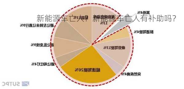 新能源车亡人？新能源车亡人有补助吗？